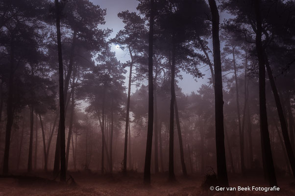 Kampina