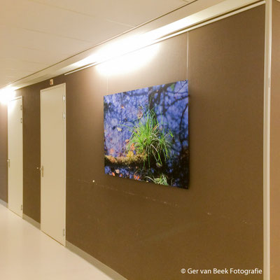 Dialyse afdeling Jeroen Bosch Ziekenhuis