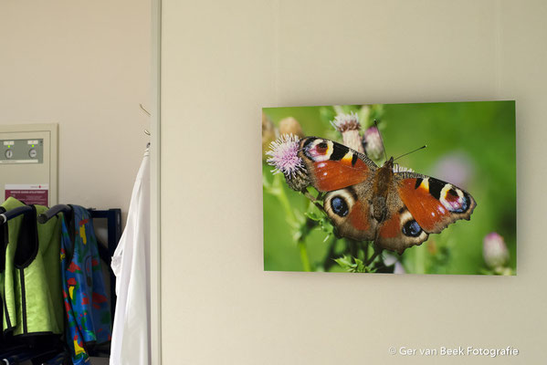 Hart Katheterisatiekamer, Jeroen Bosch Ziekenhuis