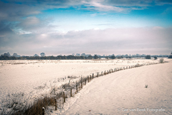 Koornwaard