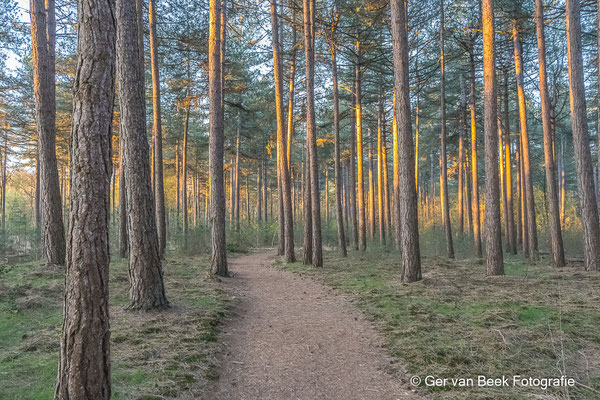 Huis ter Heide