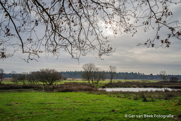 Regte heide