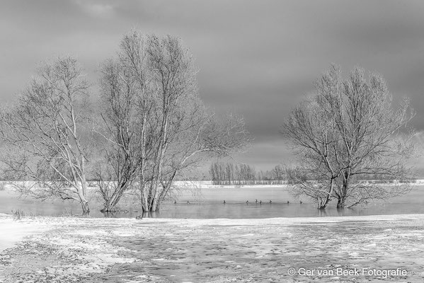 Winterlandschap