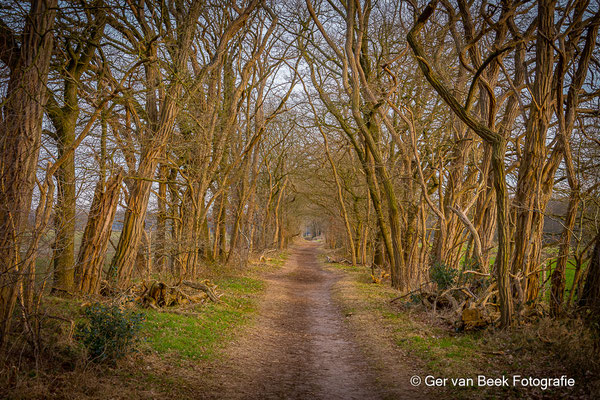 Huis ter Heide