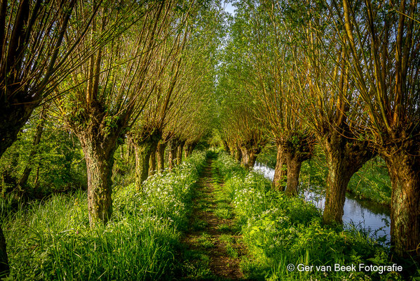 Lakerveldse Molenkade