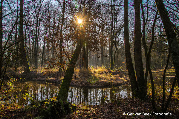Kampina