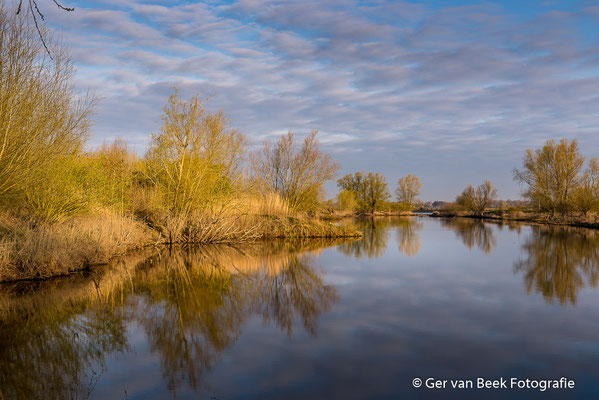Empelse waard