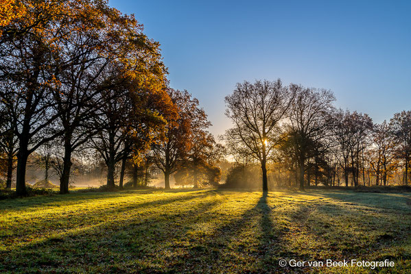 Nabij Hoeve Balsvoort