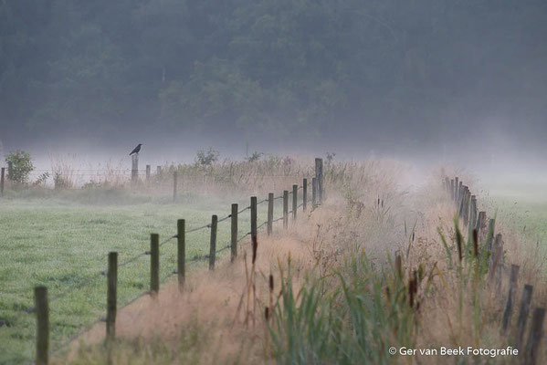 Huis ter Heide
