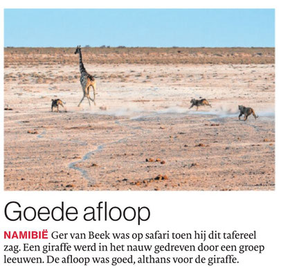 Goede afloop, Brabants Dagblad