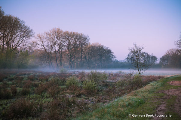 Kampina