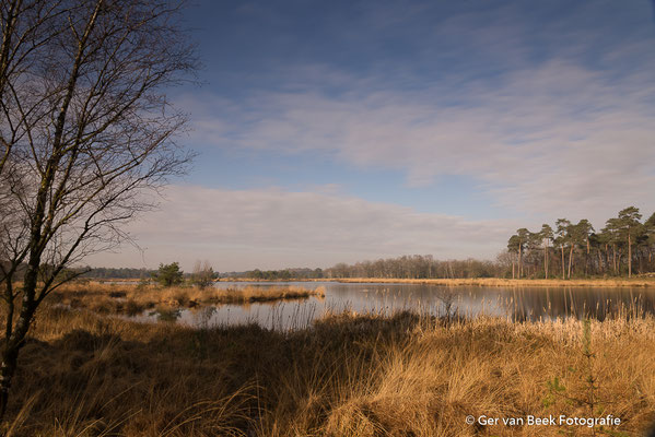 Kampina