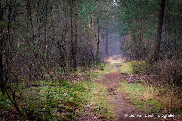 Huis ter Heide