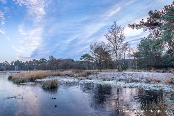 Kampina