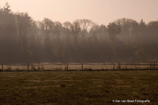 Huis ter Heide
