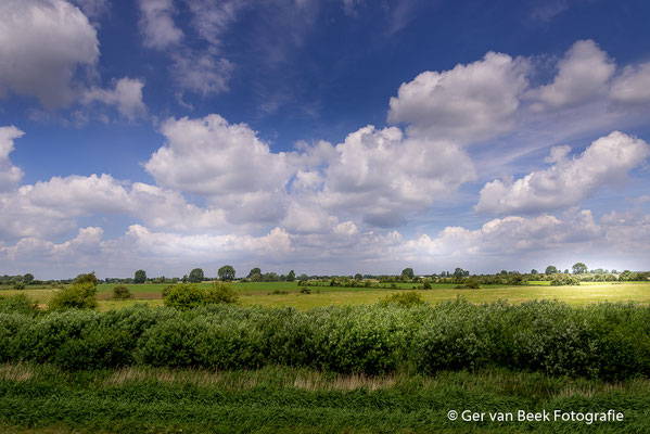Koornwaard