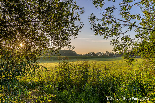 Kampina