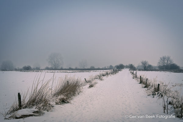 Koornwaard