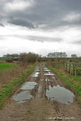 Koornwaard