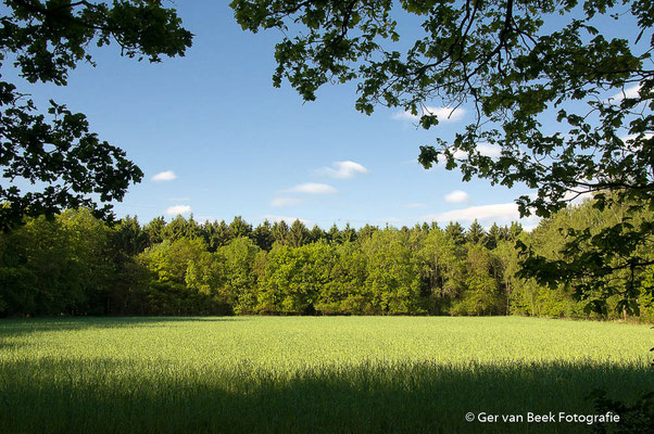 Huis ter Heide