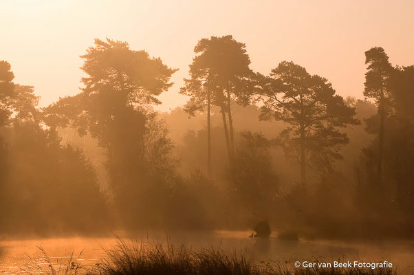 Ochtendstond heeft goud in de mond ...