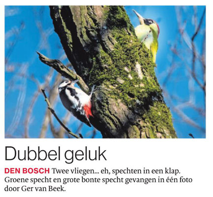 Dubbel geluk, Brabants Dagblad