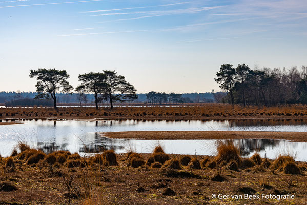 Huis ter Heide