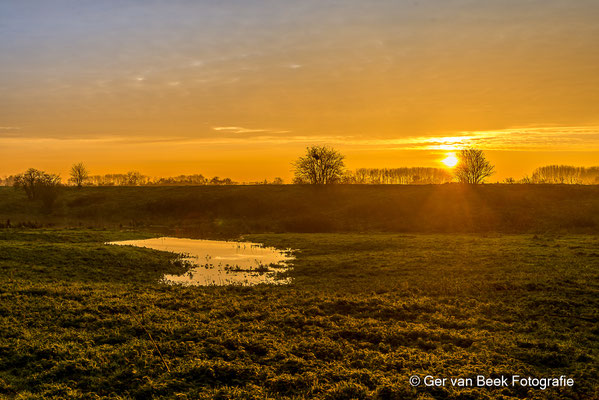 Koornwaard