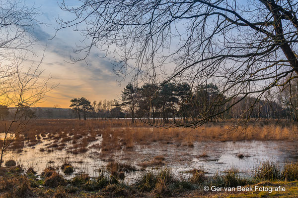 Huis ter Heide