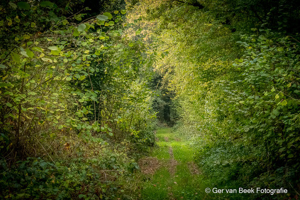 Doorkijkje