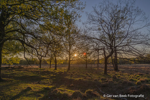 Zonsopkomst
