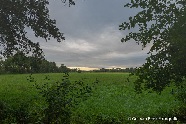 Kampina