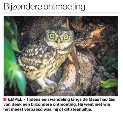 Bijzondere ontmoeting, Brabants Dagblad