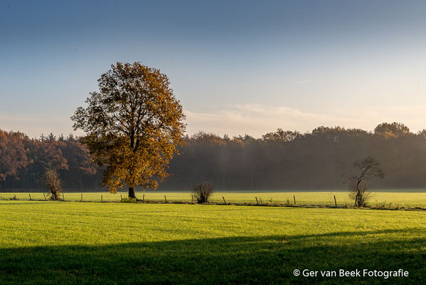 Huis ter Heide