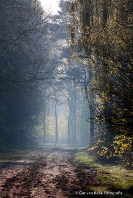 Huis ter Heide