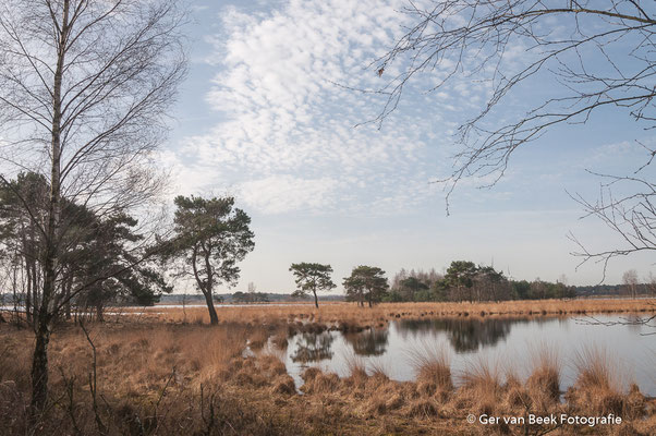 Huis ter Heide
