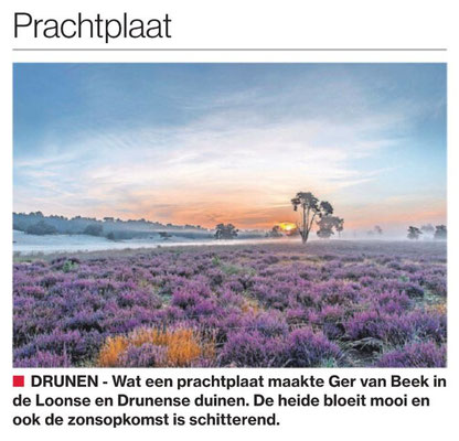 Prachtplaat, Brabants Dagblad
