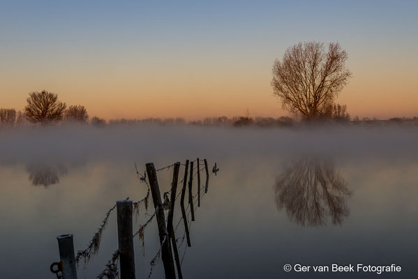 Maas
