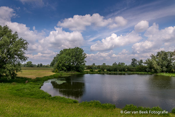 Koornwaard