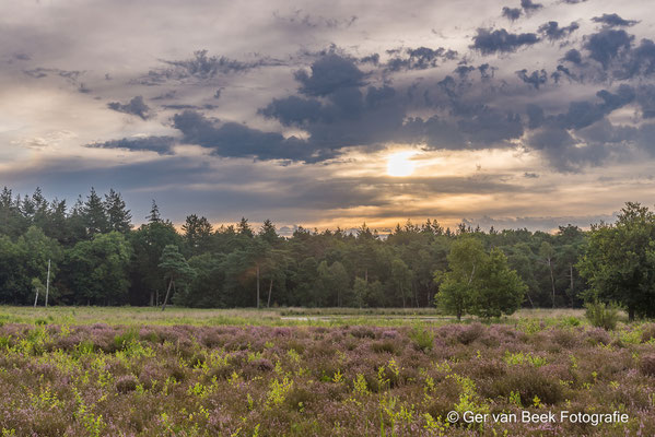 Galderse heide