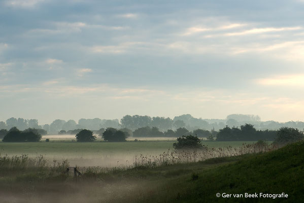 Koornwaard