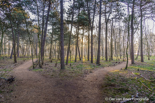 Huis ter Heide
