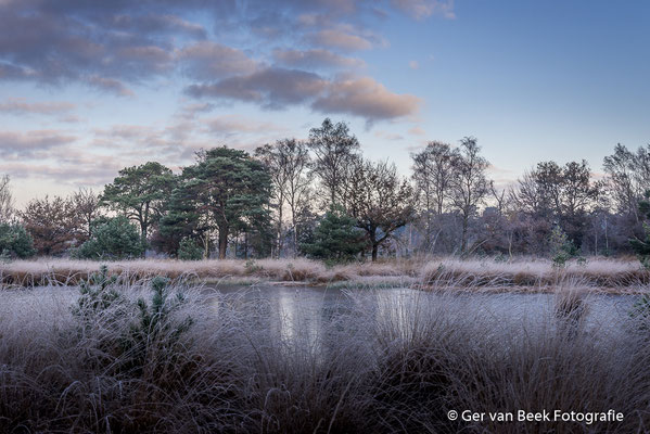 Winter begint