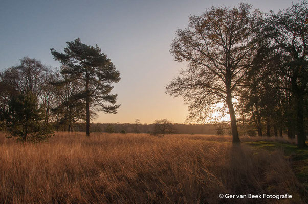 Zonsopkomst