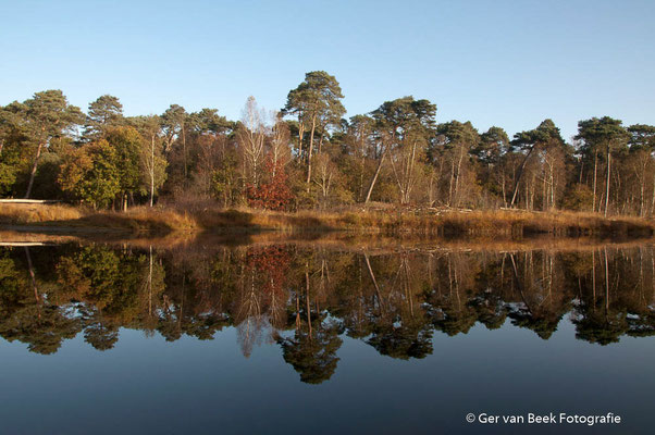 Groot Kolkven