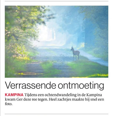 Verassende ontmoeting, Brabants Dagblad