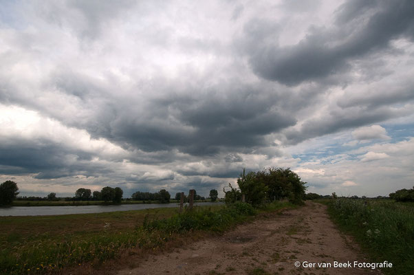 Koornwaard