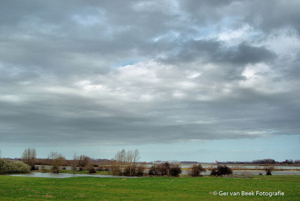 Koornwaard