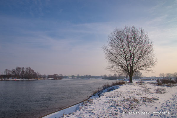 Maas