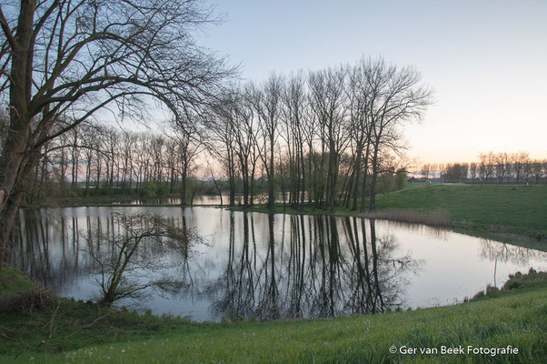 Wiel in de Koornwaard